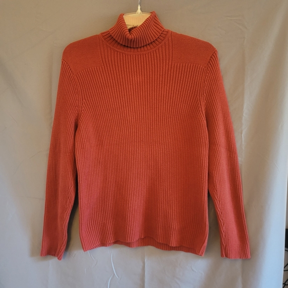 Express Sweaters - Express Women's Rust Color Turtleneck Long Sleeve Sweater